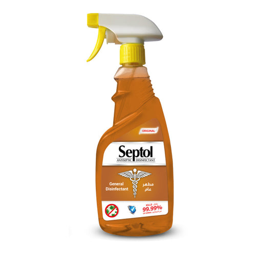 Septol Antiseptic Disinfectant Spray, 500ml