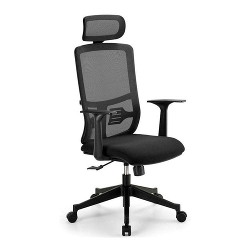 Ergonomic Executive Mesh High-Back Office Chair, Black